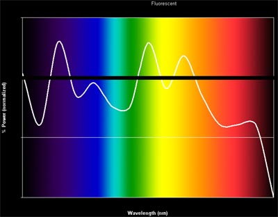 fluorescent bulb spectrum