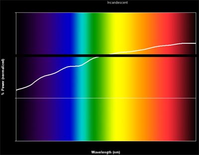 incandescent bulb spectrum