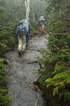 climbing the Adirondacks