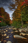 dark autumn creek photo