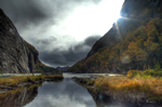 swamp landscape in HDR